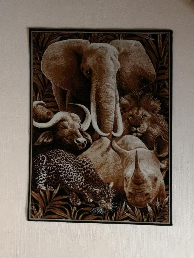 All Over Africa Guest House Kempton Park Extérieur photo